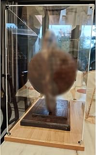 Acrylic Display Case 4 6 8 10 12 16 18 20 24 In Tall, Transparent Storage Showcase, Handicrafts/Model/Memorabilia Display Box(25x20x40cm/9.8x7.9x15.7in)