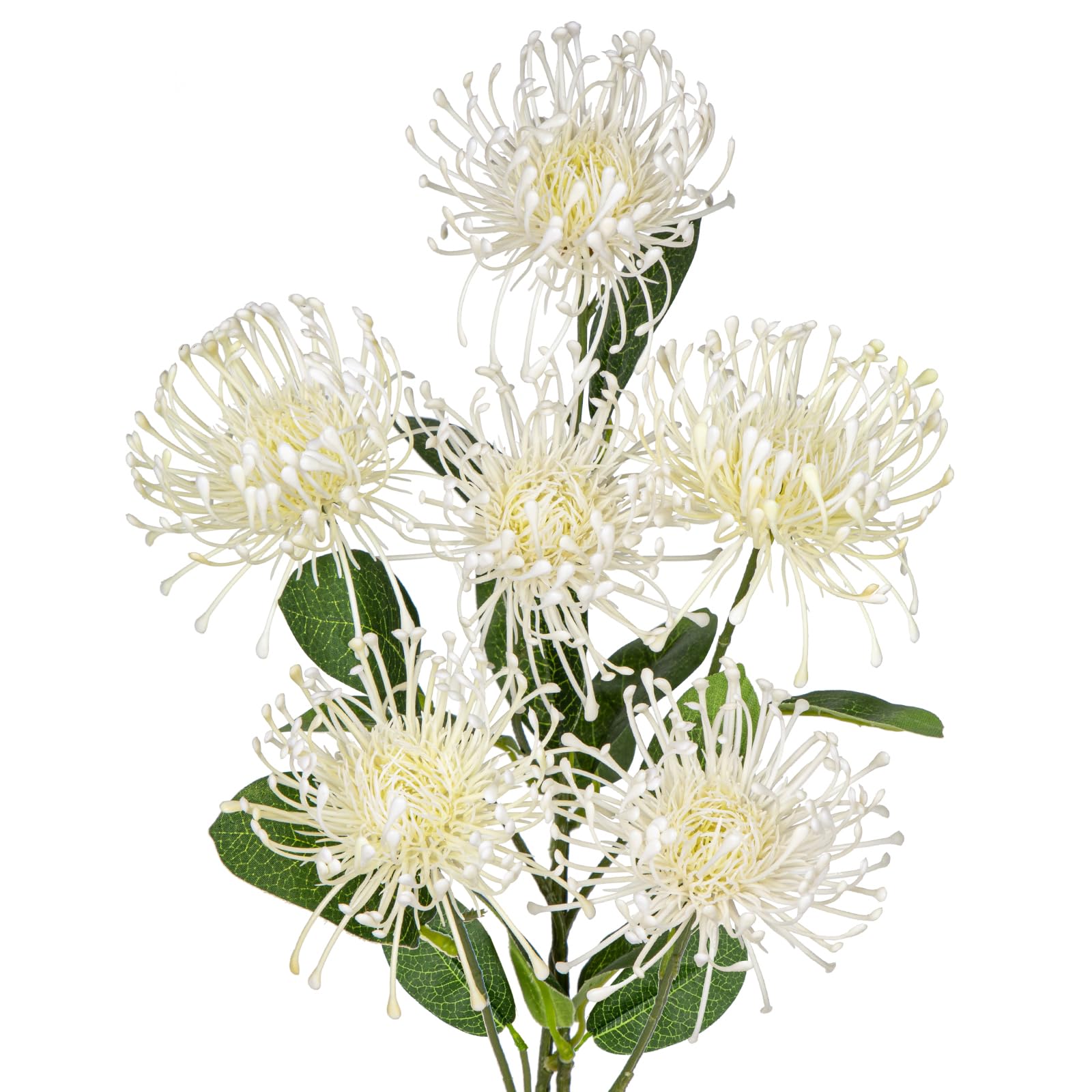 Hollyone 33" Cream White Artificial Mums Flowers Chrysanthemum Flowers 2Pcs Spider Mum Flower Arrangement Faux Pincushion Flower with 3 Heads Long