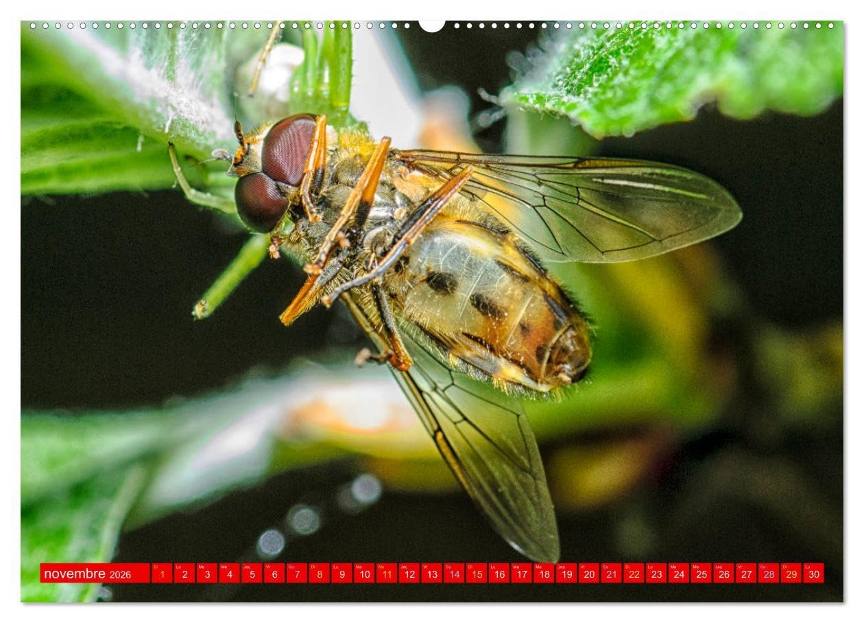 Les gardiens des écosystèmes (Calendrier mural 2026 DIN A2 vertical) calendrier de bureau: Rôle crucial des insectes régulateurs dans le maintien de l'équilibre écologique.