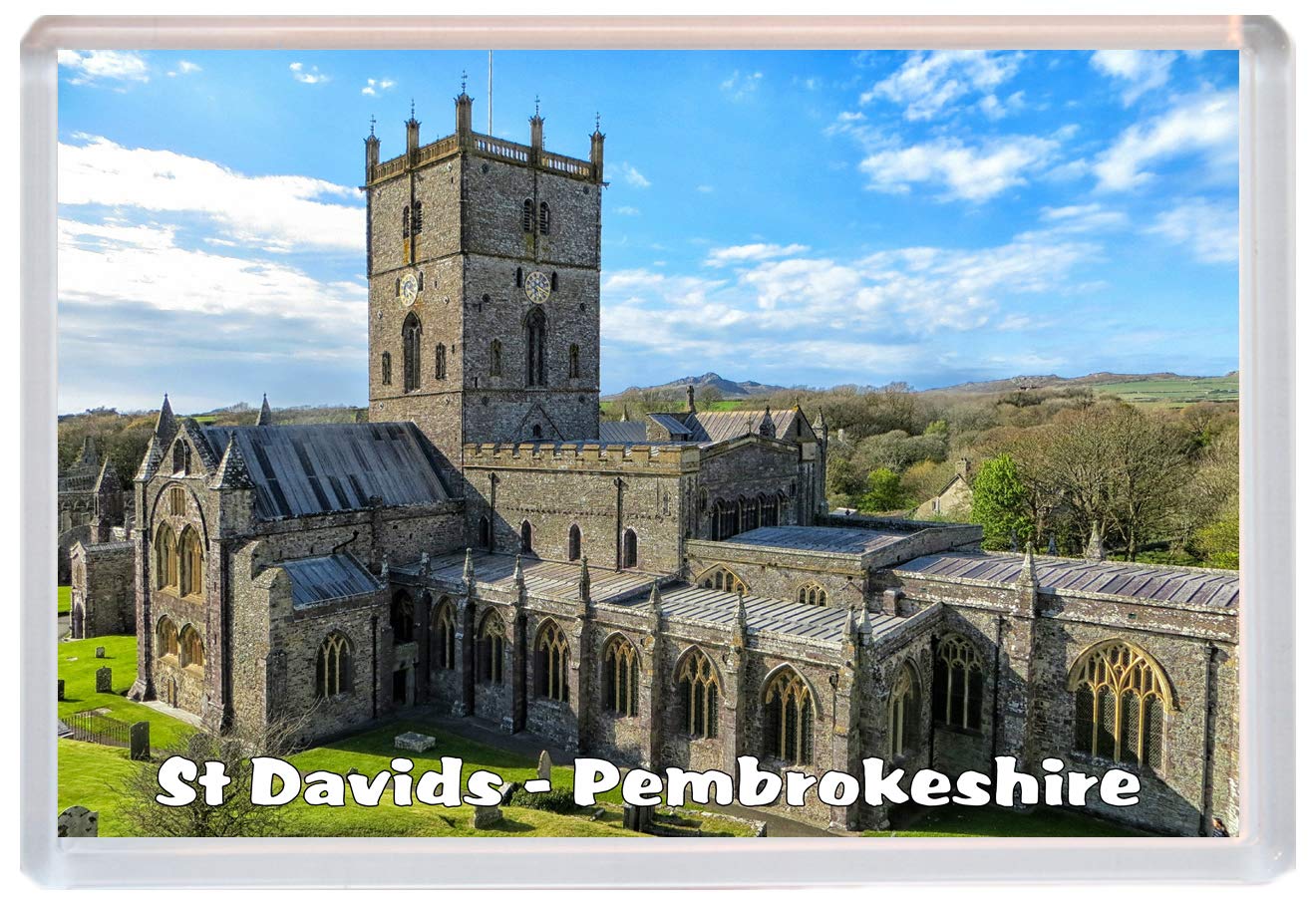 Baked Bean Store Multicolor St Davids - Pembrokeshire - Wales - Jumbo Fridge Magnet/Magnets Bbsm1951