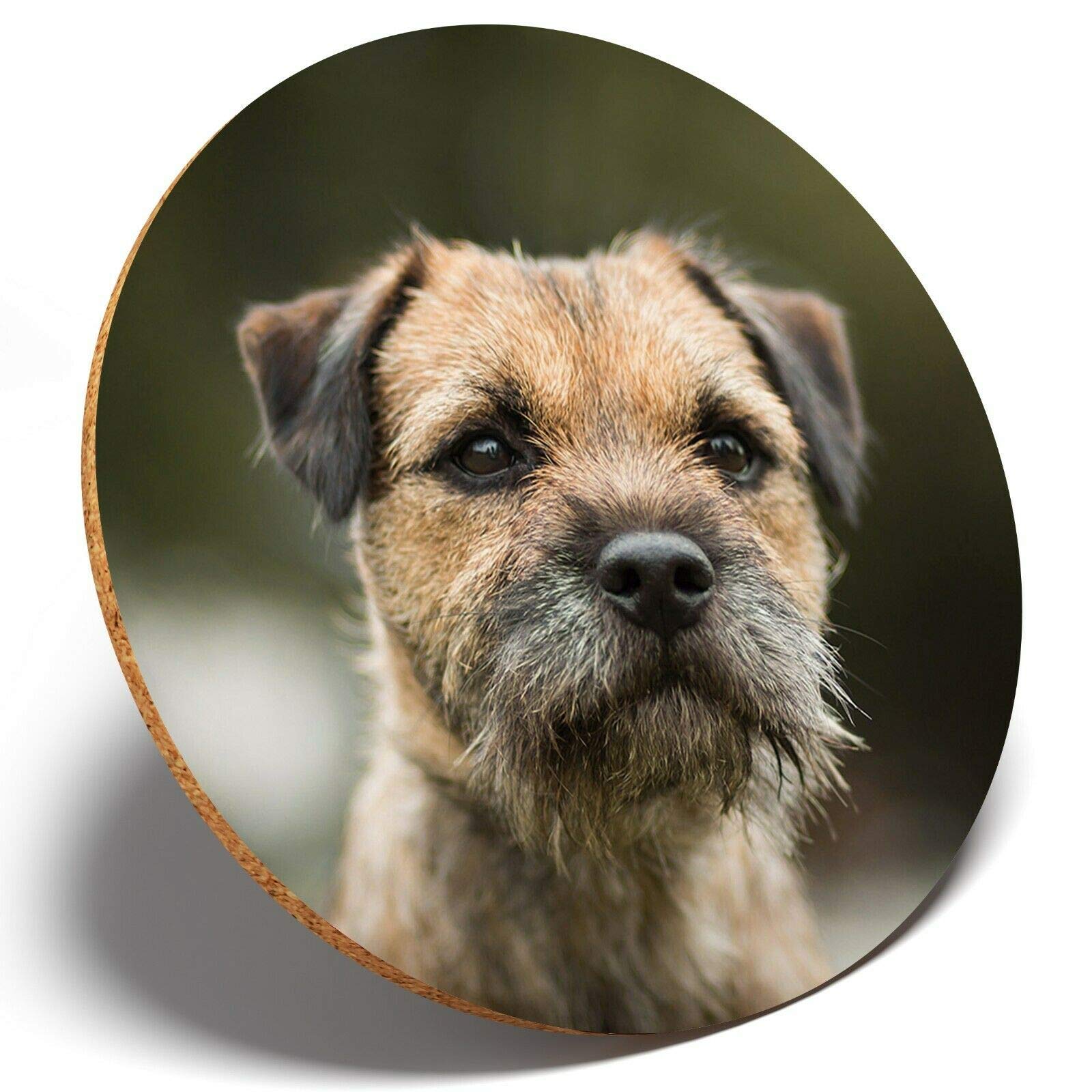 Destination Vinyl Coasters Multicolor 1 X Border Terrier Dog Puppy - Round Coaster Kitchen Student Kids #15940