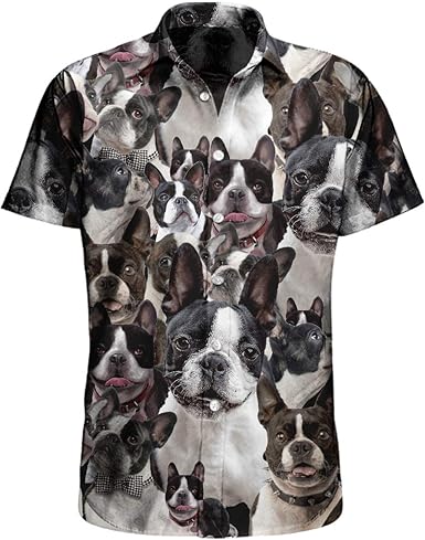 boston terrier store