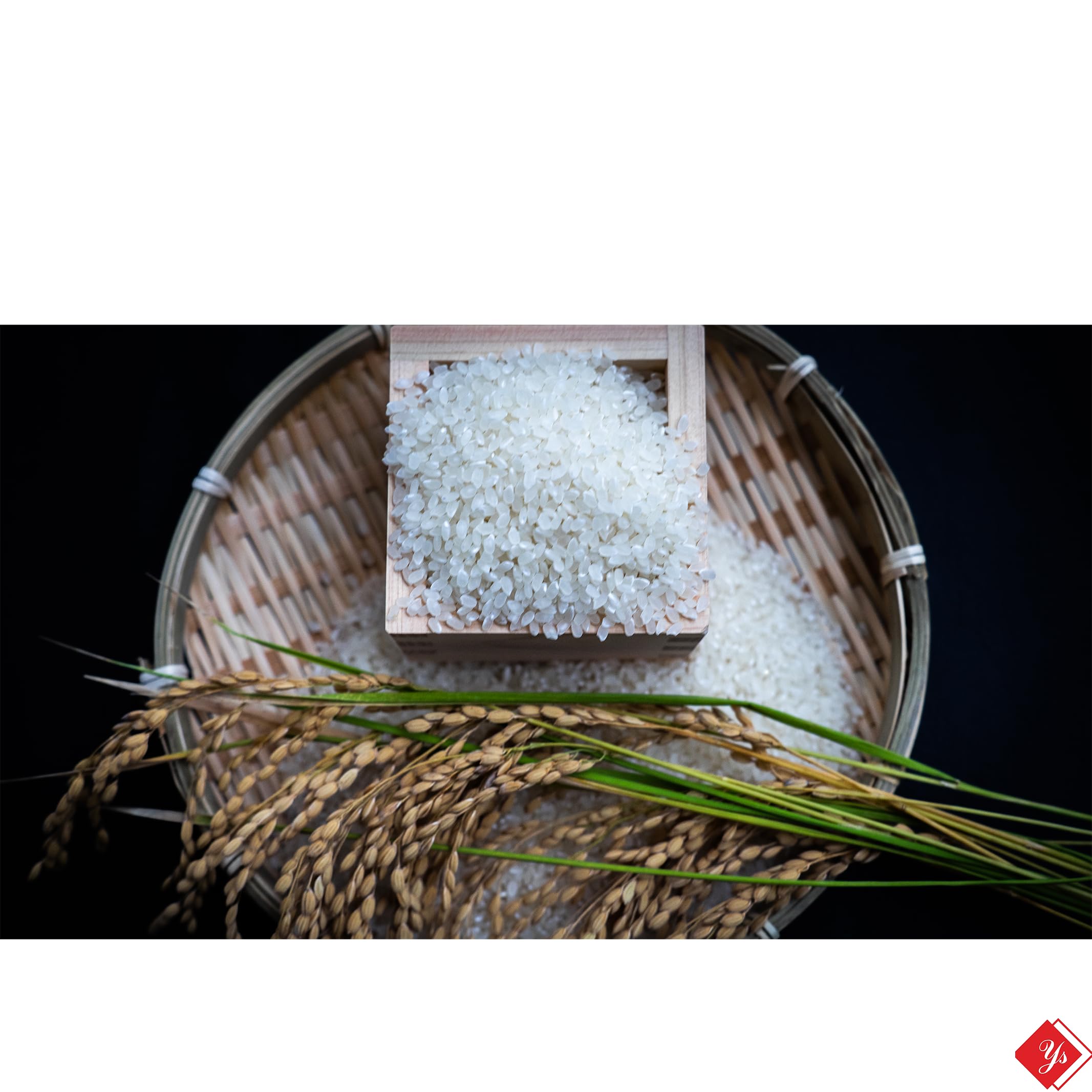 ○令和6年一等米新潟県産コシヒカリ100% 白米精米済(無洗米)20kg