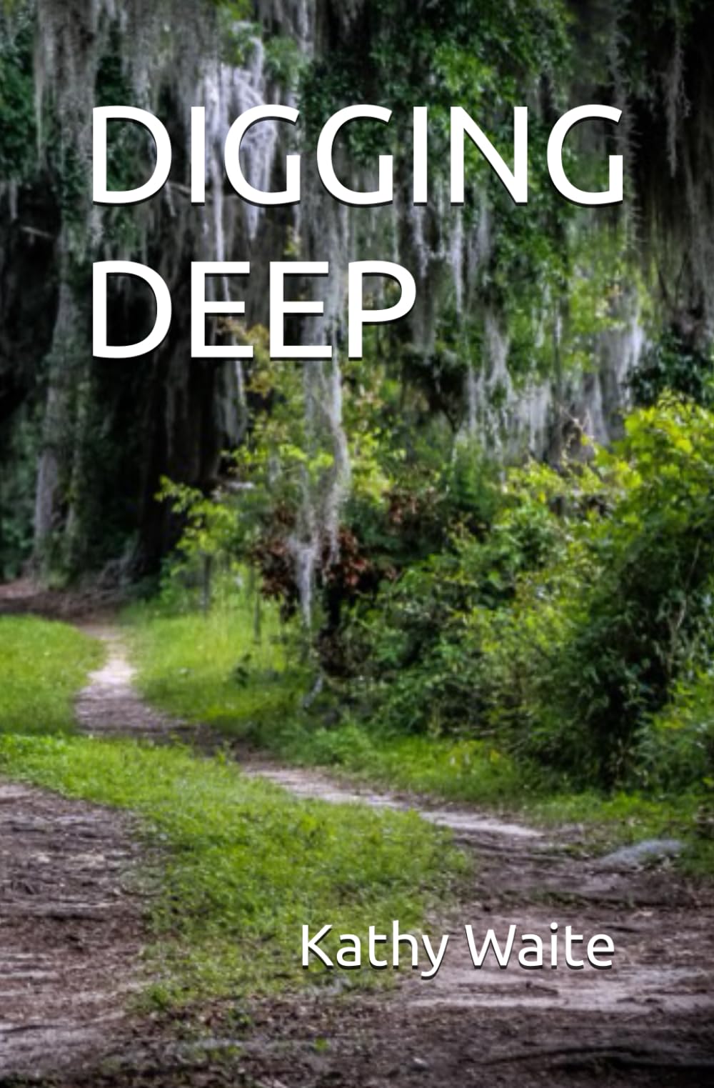 Digging Deep Book DIGGING DEEP: Waite, Kathy, McKinney, Maureen E: 9798325269967: Amazon ...