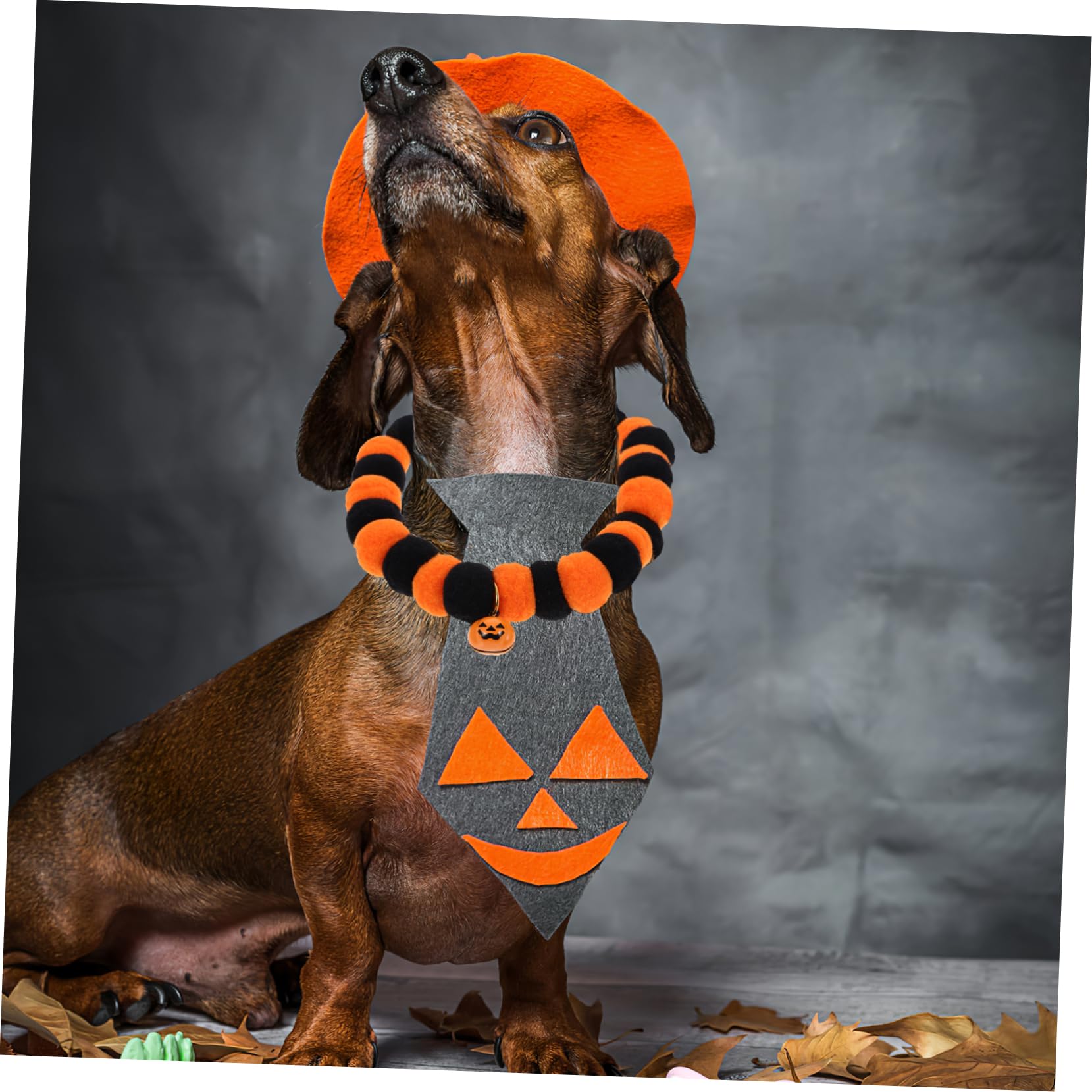 BESPORTBLE 10stücke Verstellbares Katzenhalsband Mit Kürbisglocken Bequeme Dekoration Für Halloween-Partys Weiches Und Sicheres Für Und Kleine Hunde Für Fotoshootings