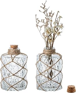 MyGift Set of 2 Rustic Embossed Glass Bud Vases with Cork Lids and Hand-Woven Hemp Rope – Apothecary Style Decorative Bottles for Farmhouse, Vintage, or Boho Home Decor