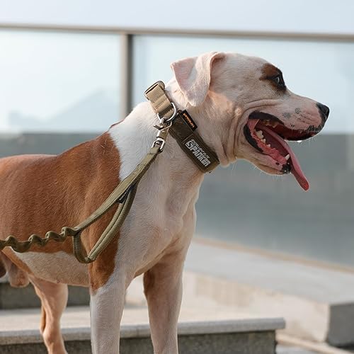 Miniatura 7 de EXCELLENT ELITE SPANKER Collar de perro de nailon ajustable para perros pequeños, collar acolchado suave para perros pequeños