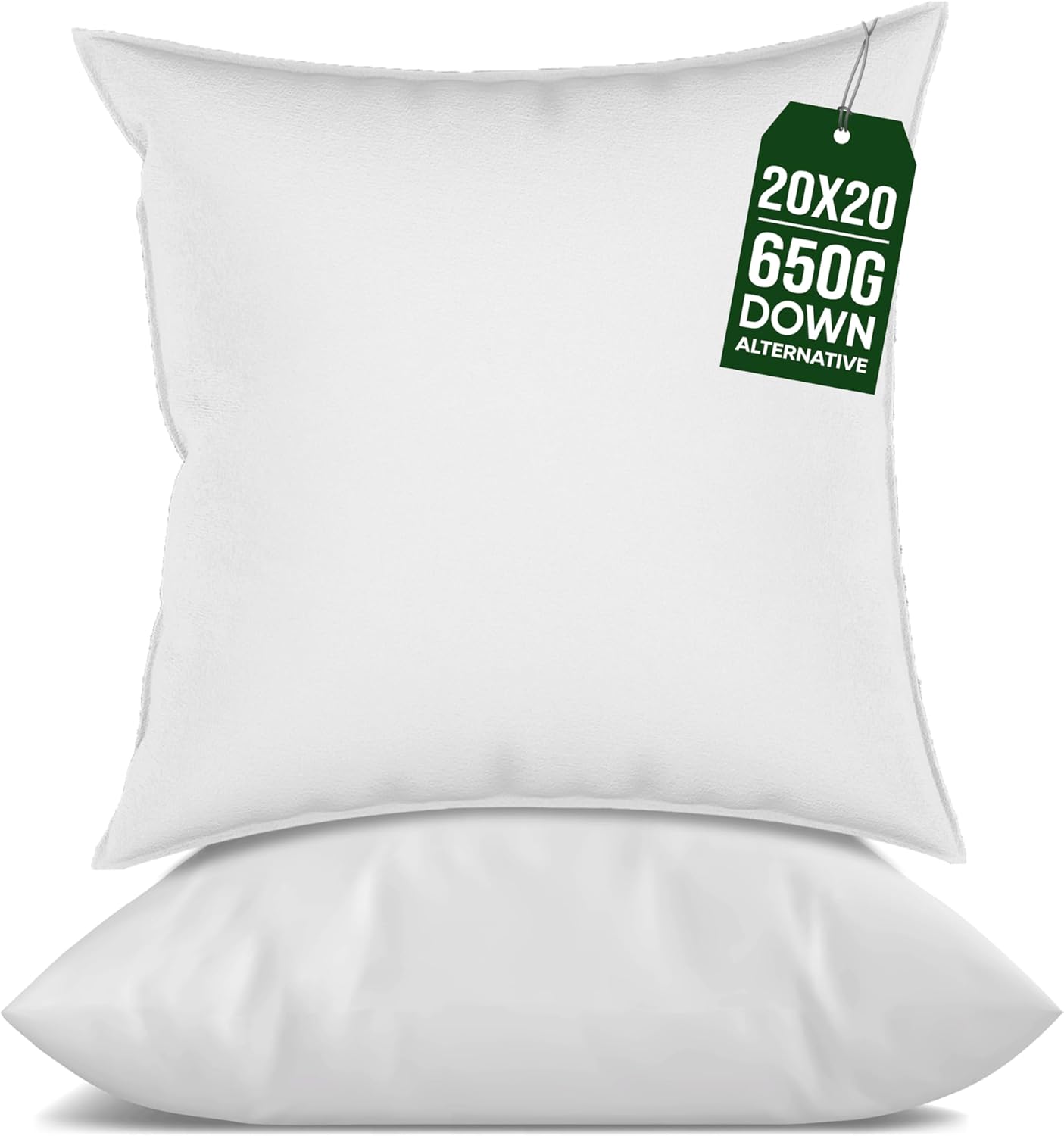 raajsee 20x20 Throw Pillow Inserts Set of 2 - Luxurious Comfort for Your Couch and Sofa | Fluffy, Soft & Durable | Perfect for Decorative Shams | Machine Washable