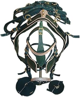 Harnais de conduite élégant en nylon synthétique vert foncé pour cheval simple en 4 tailles (plein)