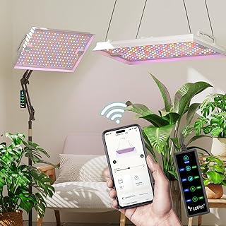 LETPOT 100 Watt (Max 120W Output) Grow Lights for Indoor Plants Full Spectrum, Smart APP, 8-Level Adjustable Light, Hangin Price In India