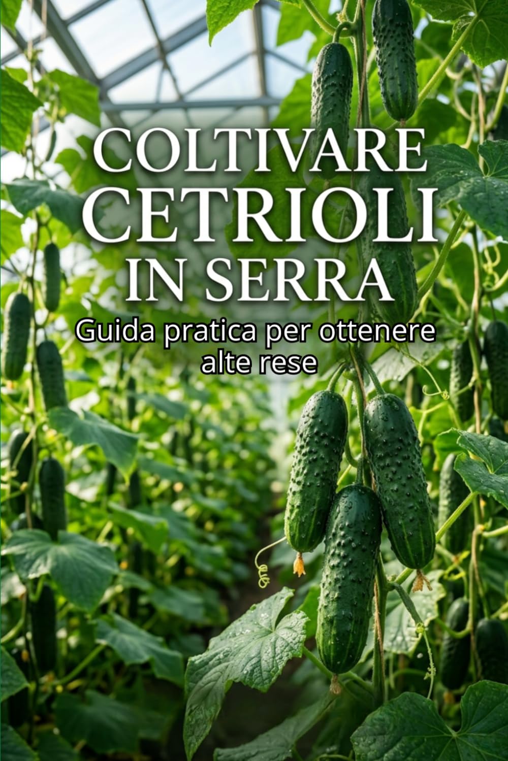 Coltivare cetrioli in serra: Guida pratica per ottenere alte rese