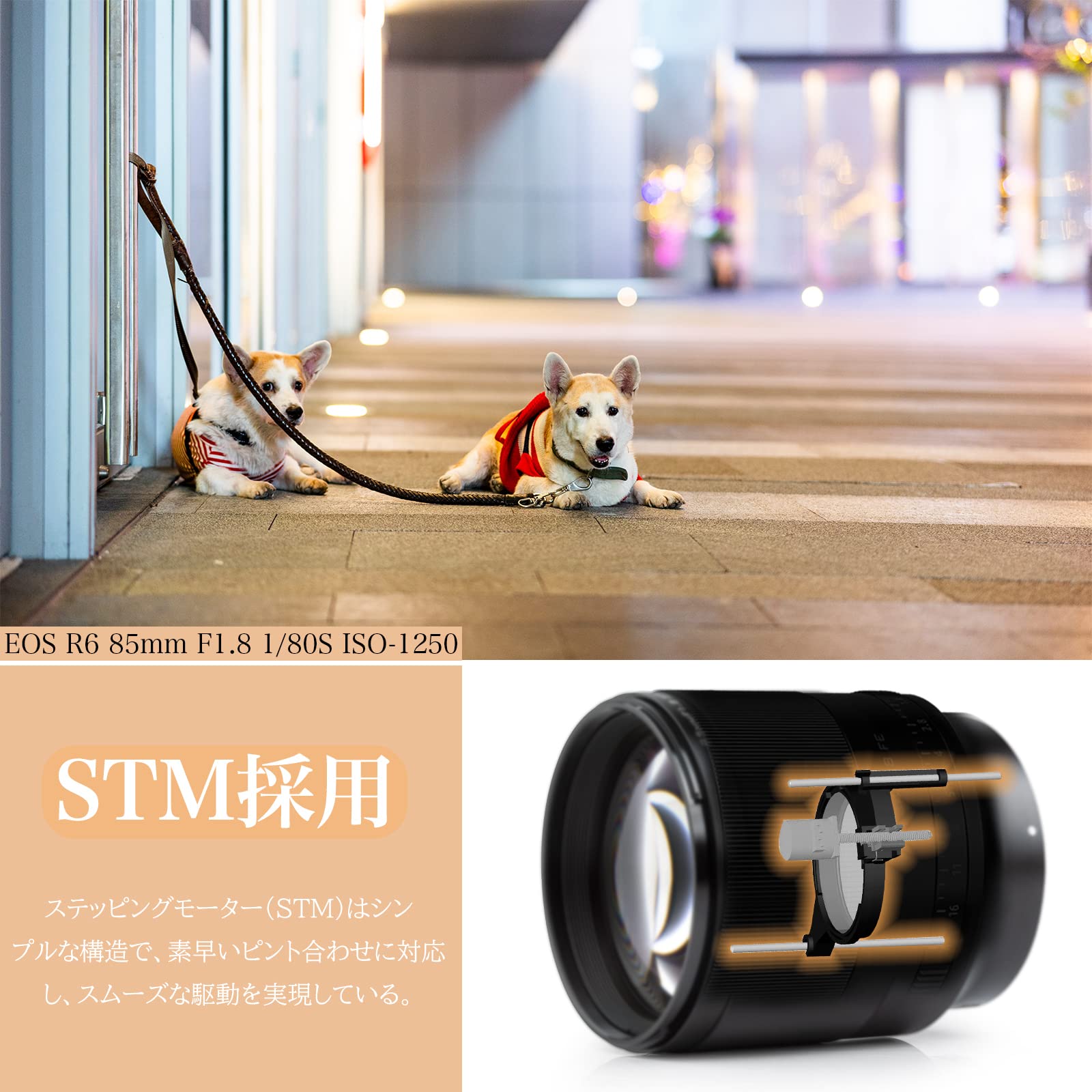 Amazon.co.jp: VILTROX 単焦点 キヤノン用 RFレンズ AF 85mm F1.8 RF