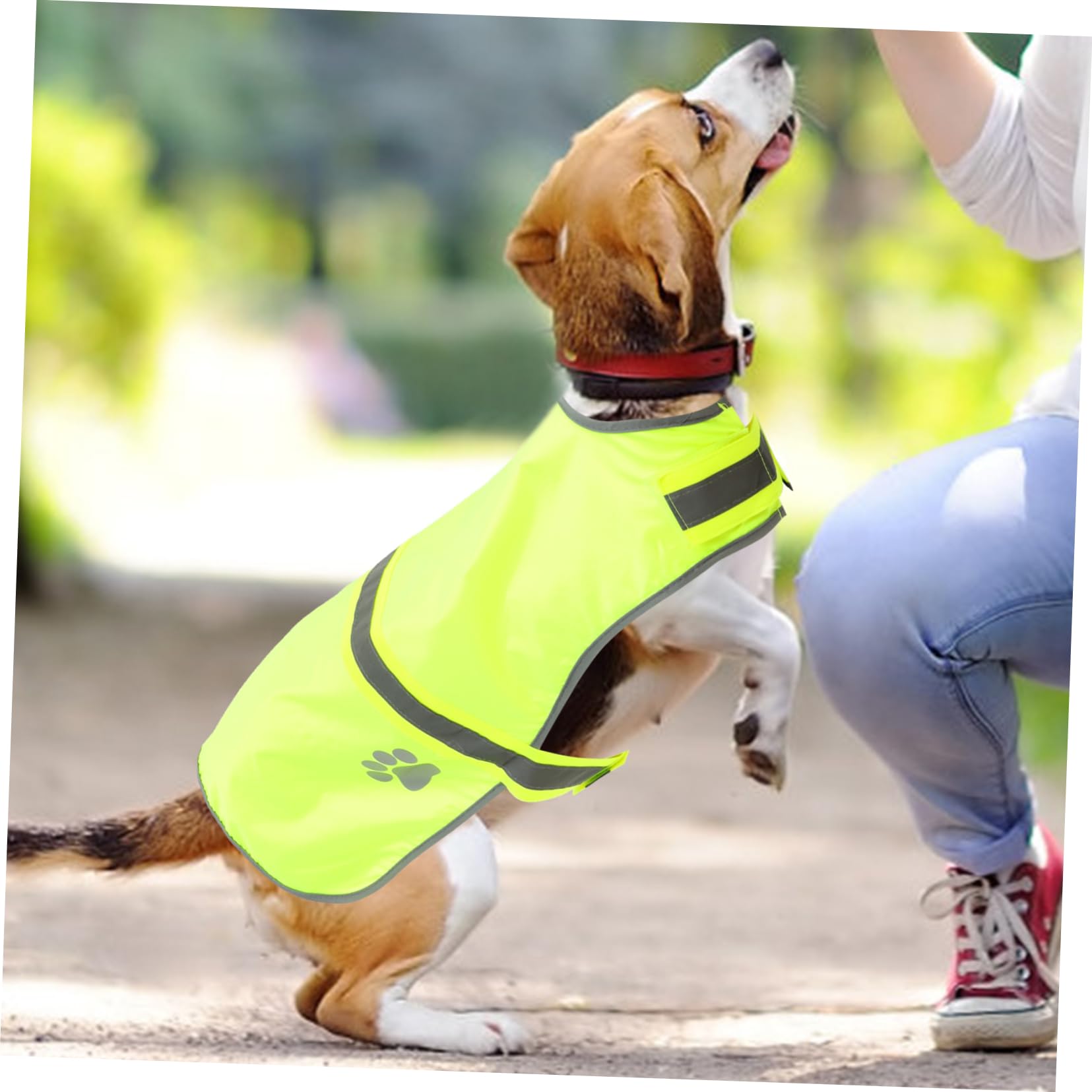 Sosoport 3piezas Chaleco Reflectante para Perros y Transpirable Ropa Fluorescente De Alta Visibilidad para Mascotas para Paseos Nocturnos y Actividades Al Aire