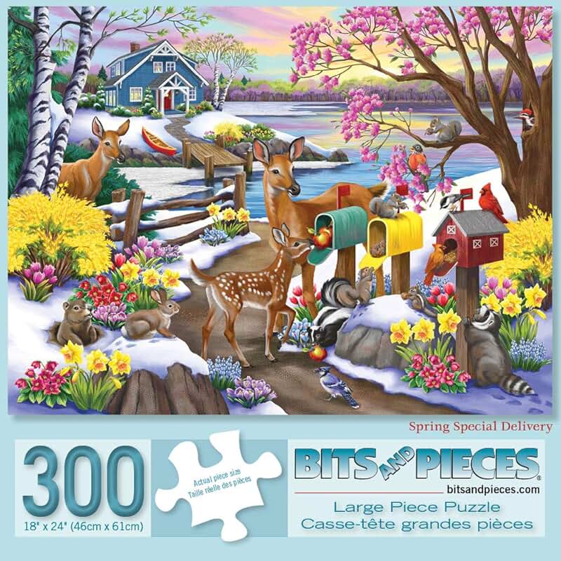 Amazon.ca 300 Piece Puzzles