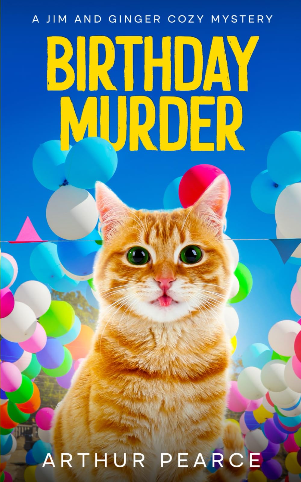 Birthday Murder: Jim and Ginger Cozy Mysteries Book 8