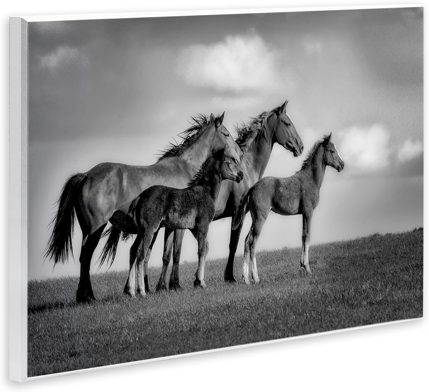 'Babies On Board Horse Family'| Wall Plaque Art | Stupell Industries | 15 x 10 Inches, Easy to Hang and Sturdy, Made in USA, by Wendy Caro