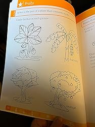 DK Workbooks: Science, Kindergarten: Learn and Explore: DK ...