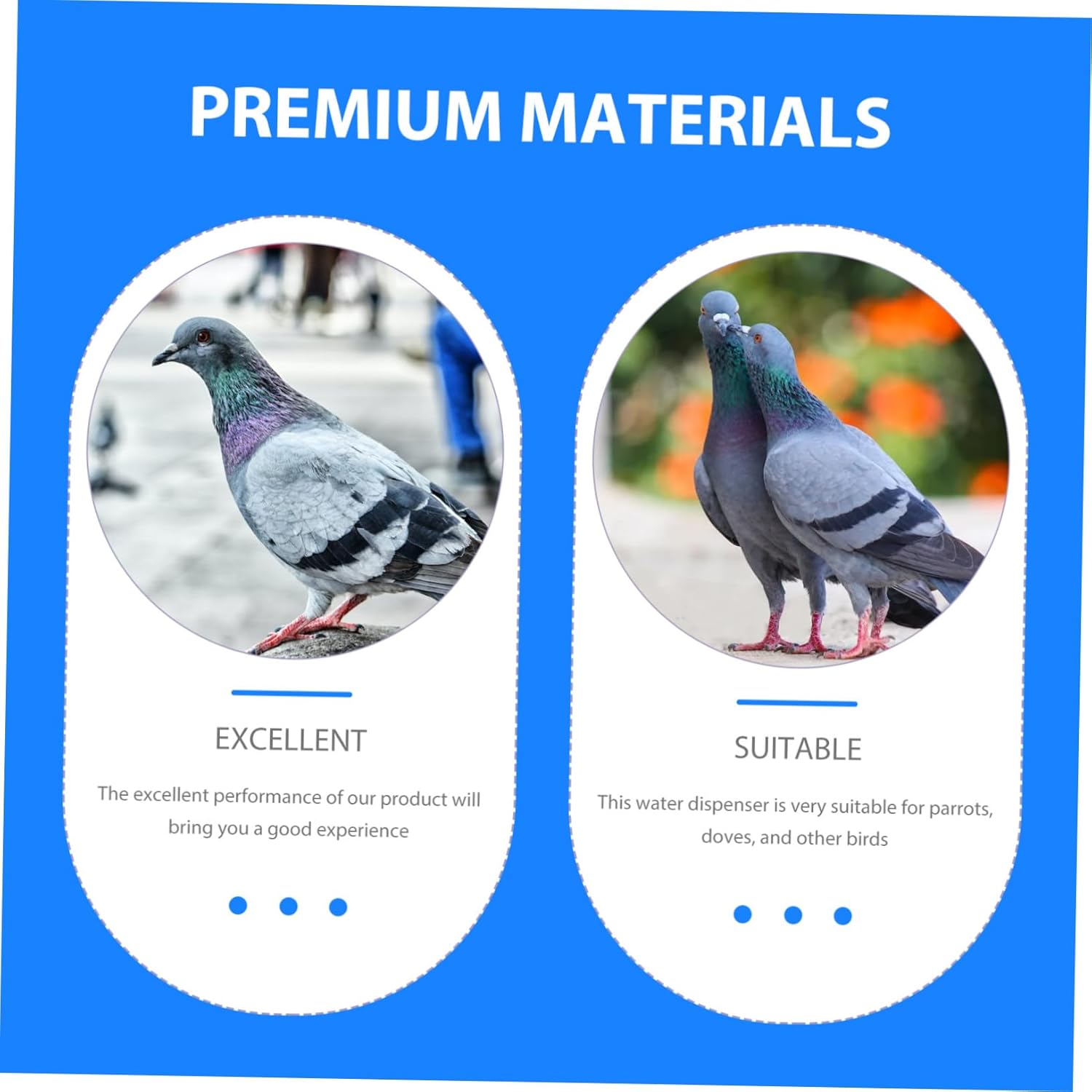 Automatic Pigeon Water Feeder Capacity Bird Waterer Outdoor Bird Feeder Pole Squirrel
