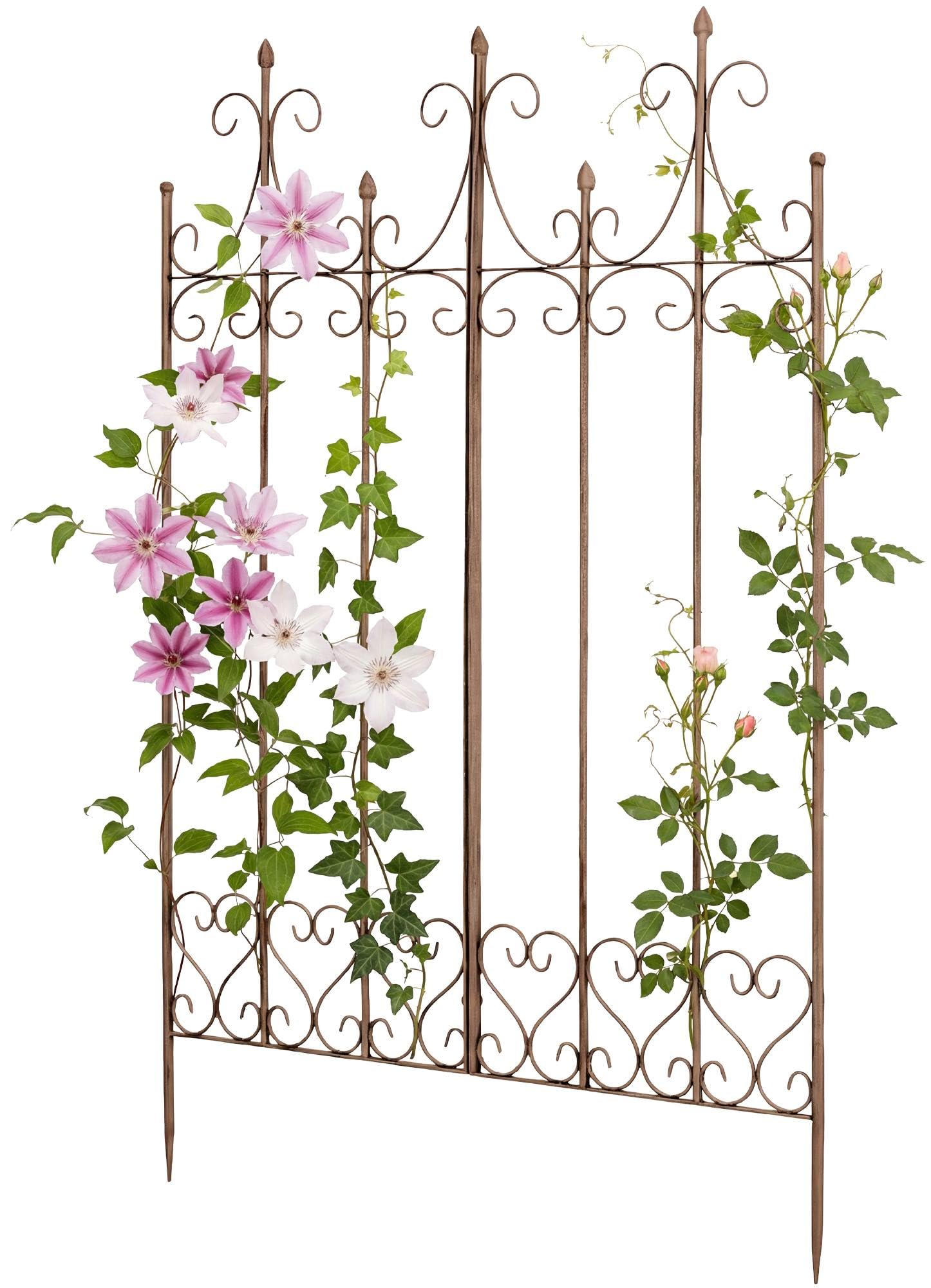 CLP Rankgitter Metall 130 cm hoch Flieder, stabile Rankhilfe für Kletterpflanzen, vormontiert, Landhausstil, Spalier Sichtschutz, Farbe:antik braun