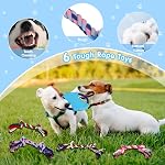 Puppy Toys,21 Pack Dog Toys for Small Dogs,Puppy Teething Toys,Puppy Chew Toys,Squeaky Plush Toys and Rope Toys,Interactive Dog Toys