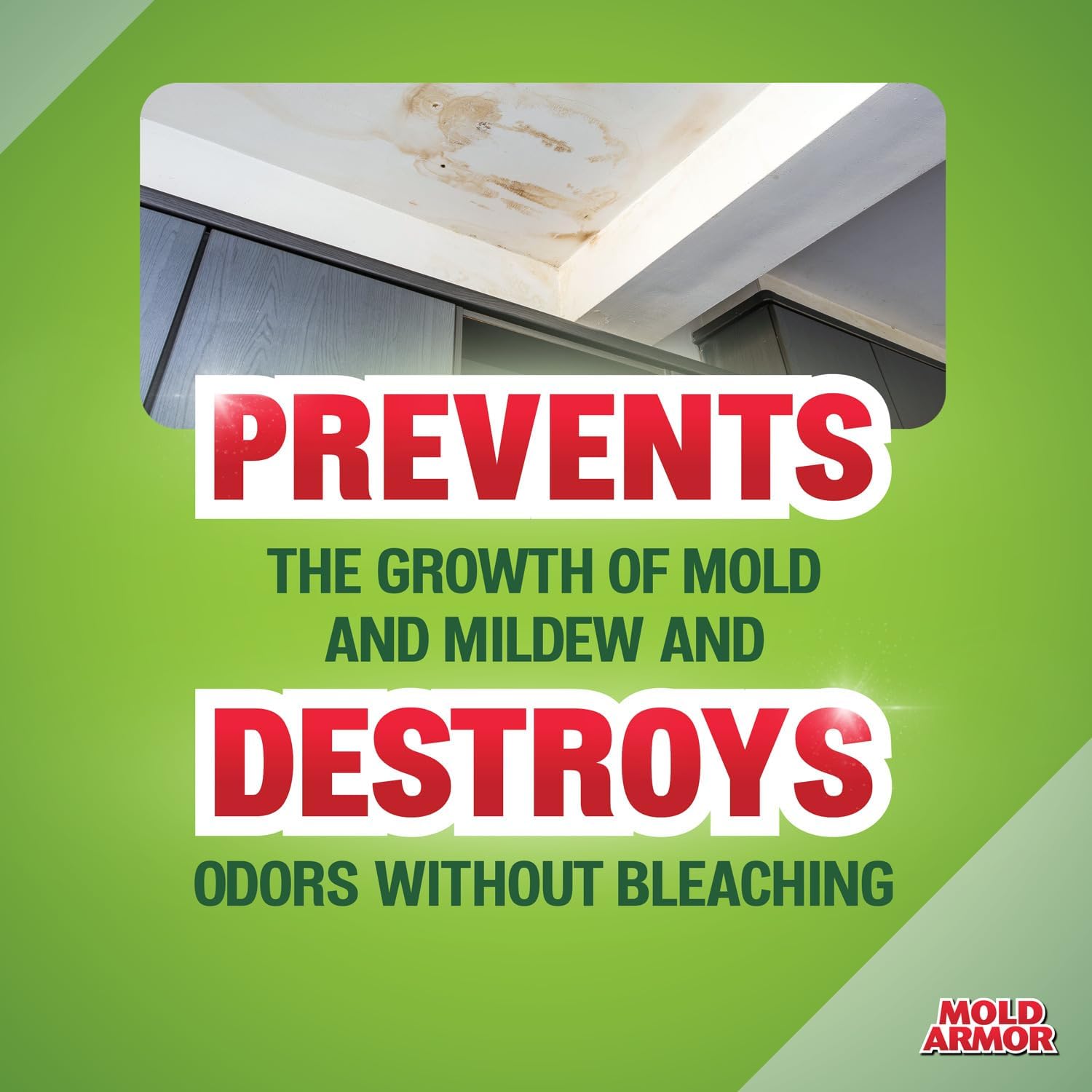 Mold Armor Mold Preventer, Disinfectant and Flood Cleanup, 1 gal., Control & Prevent the Growth of Mold and Mildew, Cleans without Bleaching, Ready to Use