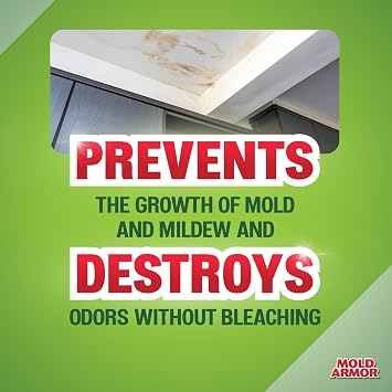Mold Armor Mold Preventer, Disinfectant & Flood Cleanup