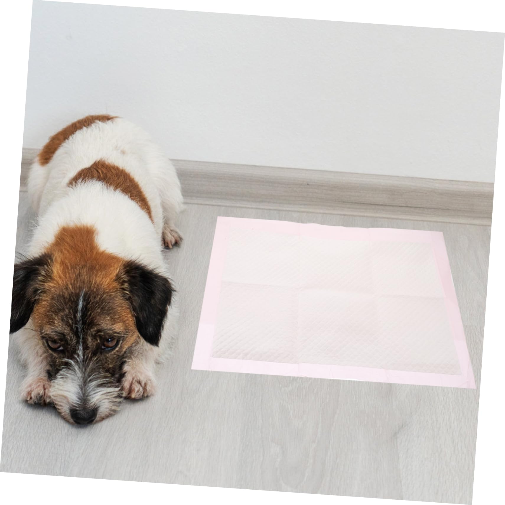 ibasenice 100piezas Tapete De Entrenamiento para Mascotas Empapadores Desechables para Cachorros y Gatos Empapadores para Orinales para Perros Pequeños Interiores para Entrenamiento De