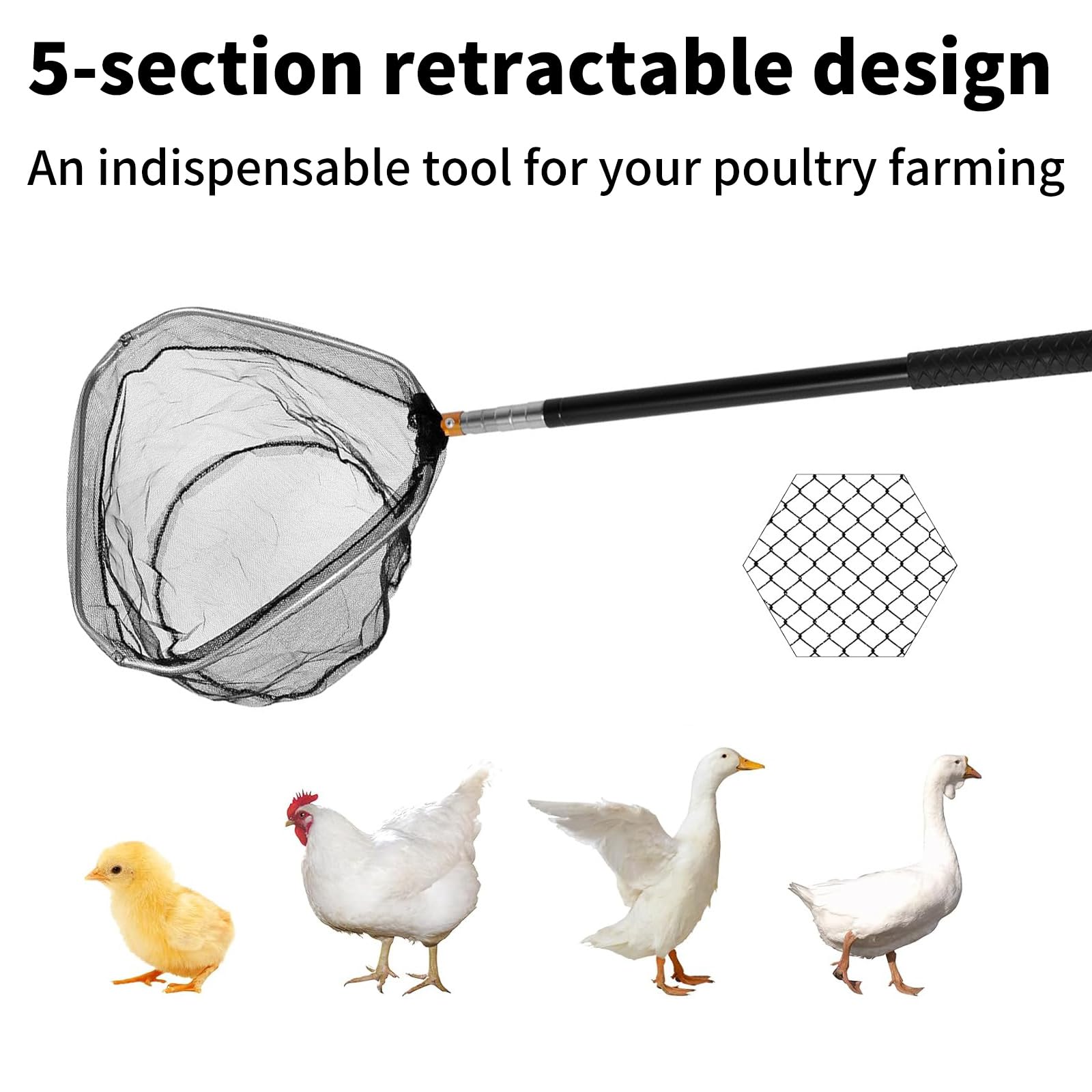 Filet de pêche pour poules et chats 50 x 30 x 15 cm, filet d'atterrissage avec cadre renforcé