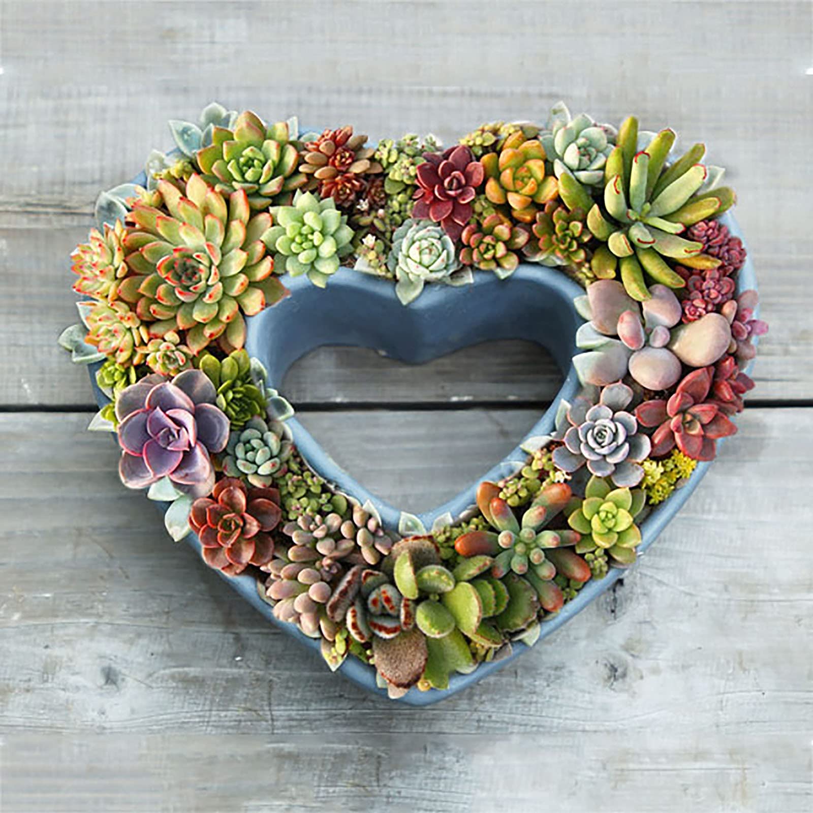 多肉 ハート型プランター Amazon.co.jp: 排水穴のあるハート型の多肉植物プランター、屋外の