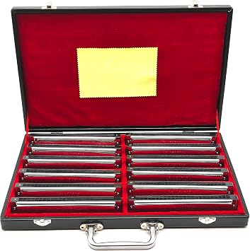 Swan 24 Hole Polyphonic Harmonica C Key A/B/D/E/F/G/A #/C #/D #/F #/G # Professional Tremolo Harmonica للمبتدئين والكبار