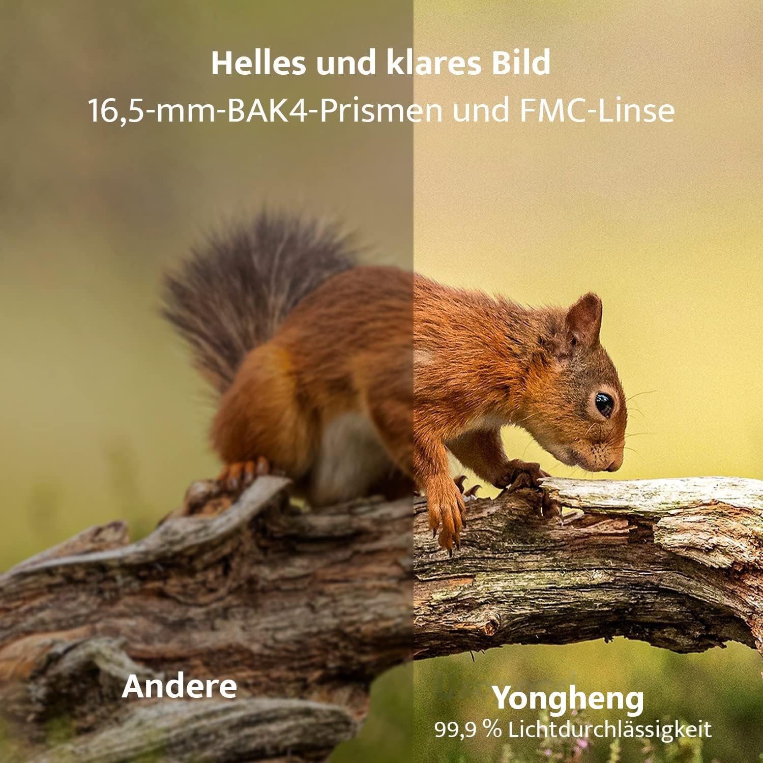 Yongheng Prismaticos Profesionales Largo Alcance, Binoculares Pequeños y Potentes 12x42,Prismas BaK4 y Lentes FMC, Potentes Binoculares para Observación de Aves, Caza, Senderismo con