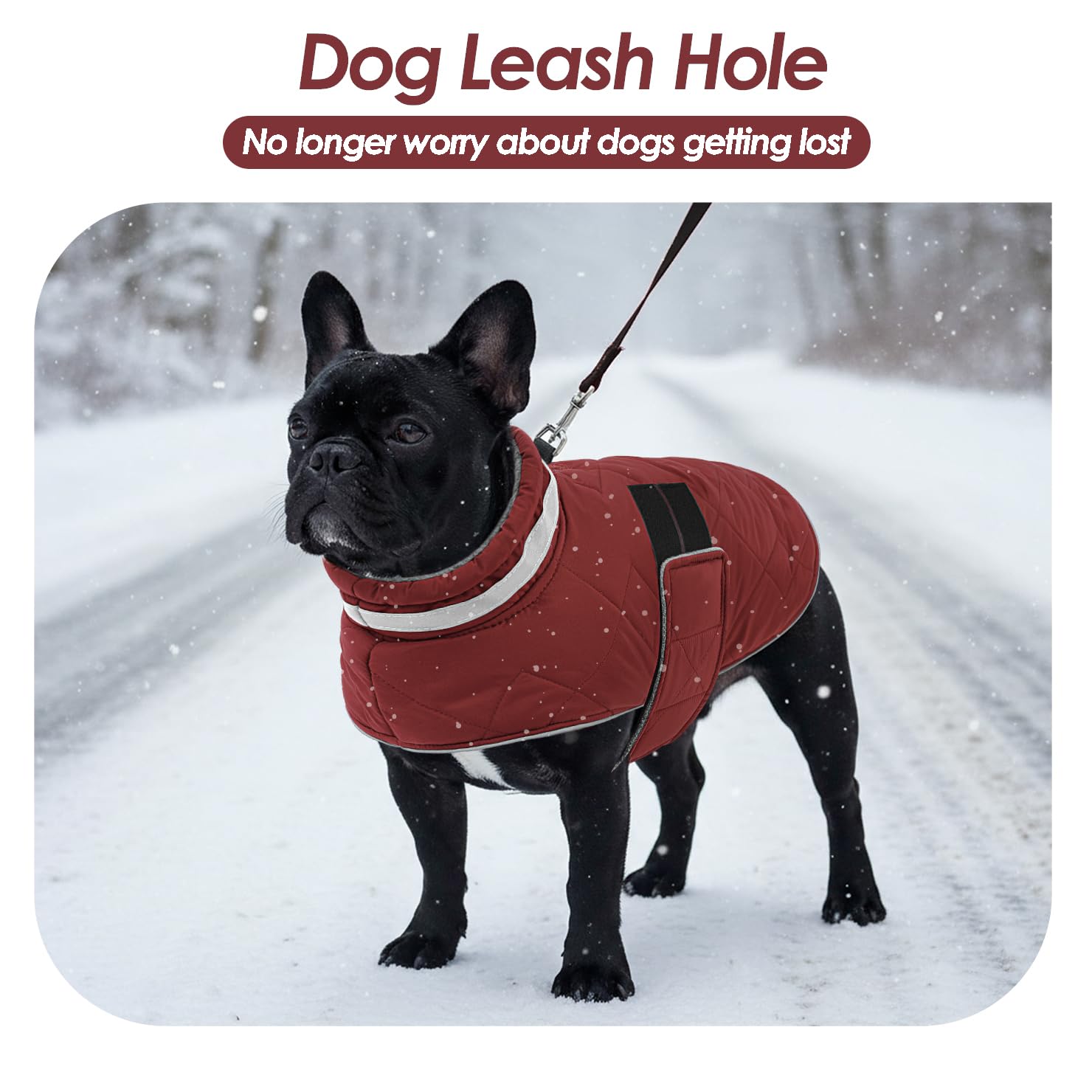 ASENKU Cappotto Impermeabile per Cane Invernale, 2XL Cappottino per Cani di Taglia Grande, Giacca Invernale Foderata in Lana Riflettente, Cappotti e giubbotti per Cani Chiusura Regolabile