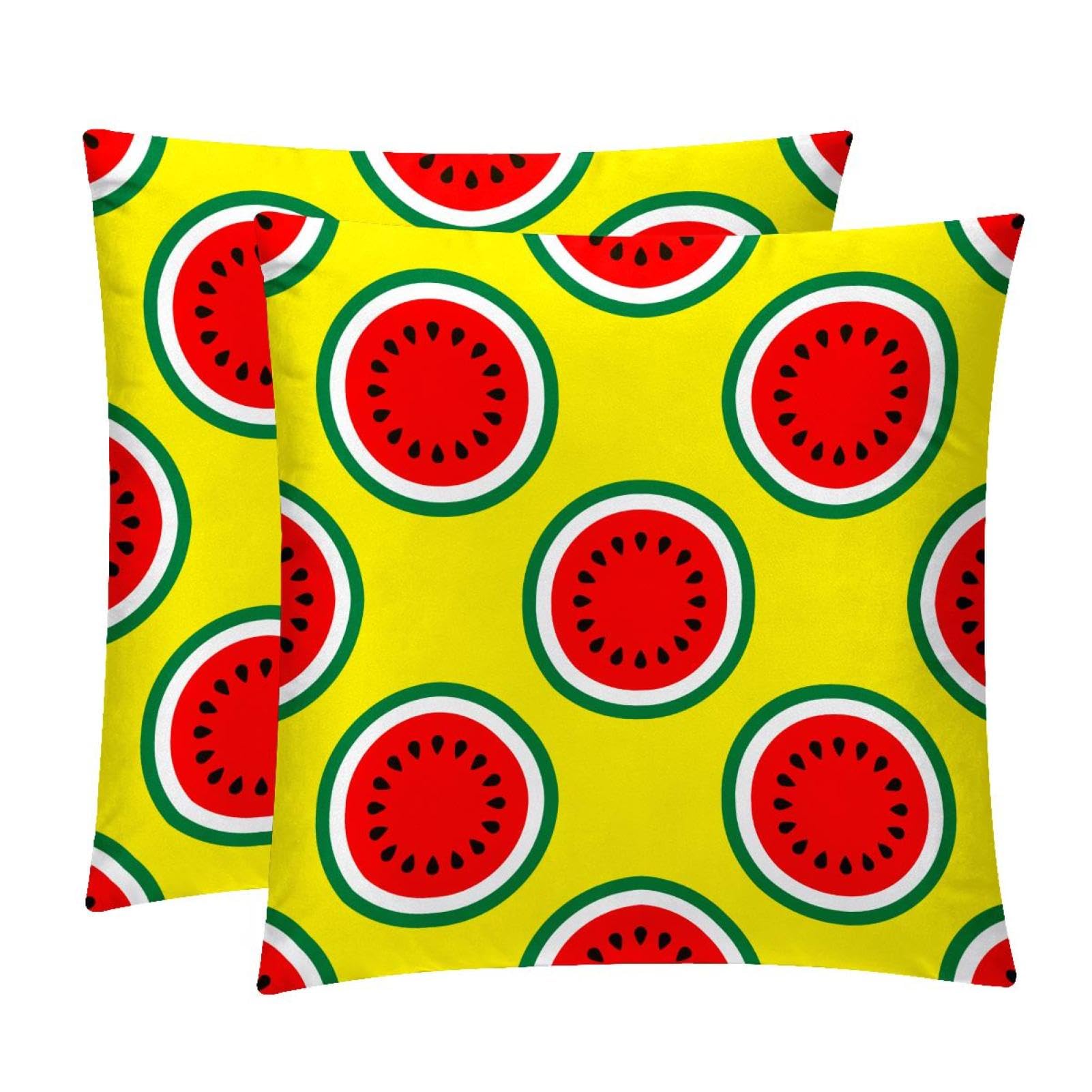 TDGKPZ Watermelon Throw Pillow Cases 2 Pack Pillowcases Zipper Cushion Covers For Bedroom Living Room 45x45cm