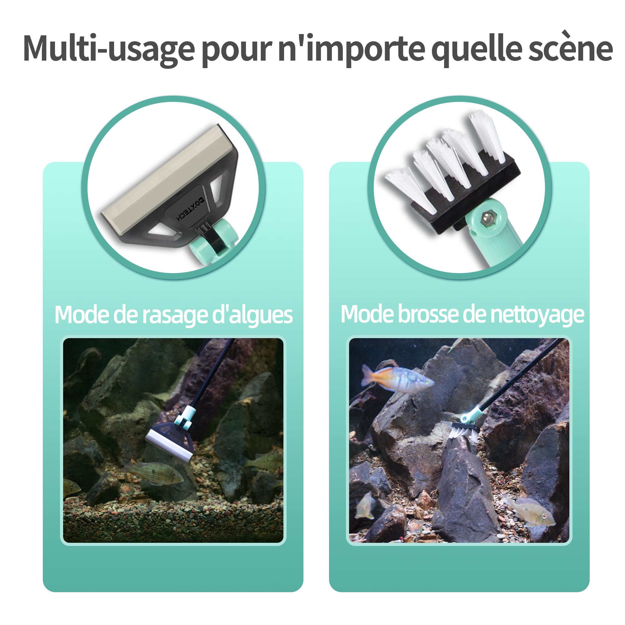 boxtech Raschietto anti-alghe, strumento di pulizia dell'acquario Kit - 5 lame in acciaio + spazzola, manico 50 cm per acquario in vetro