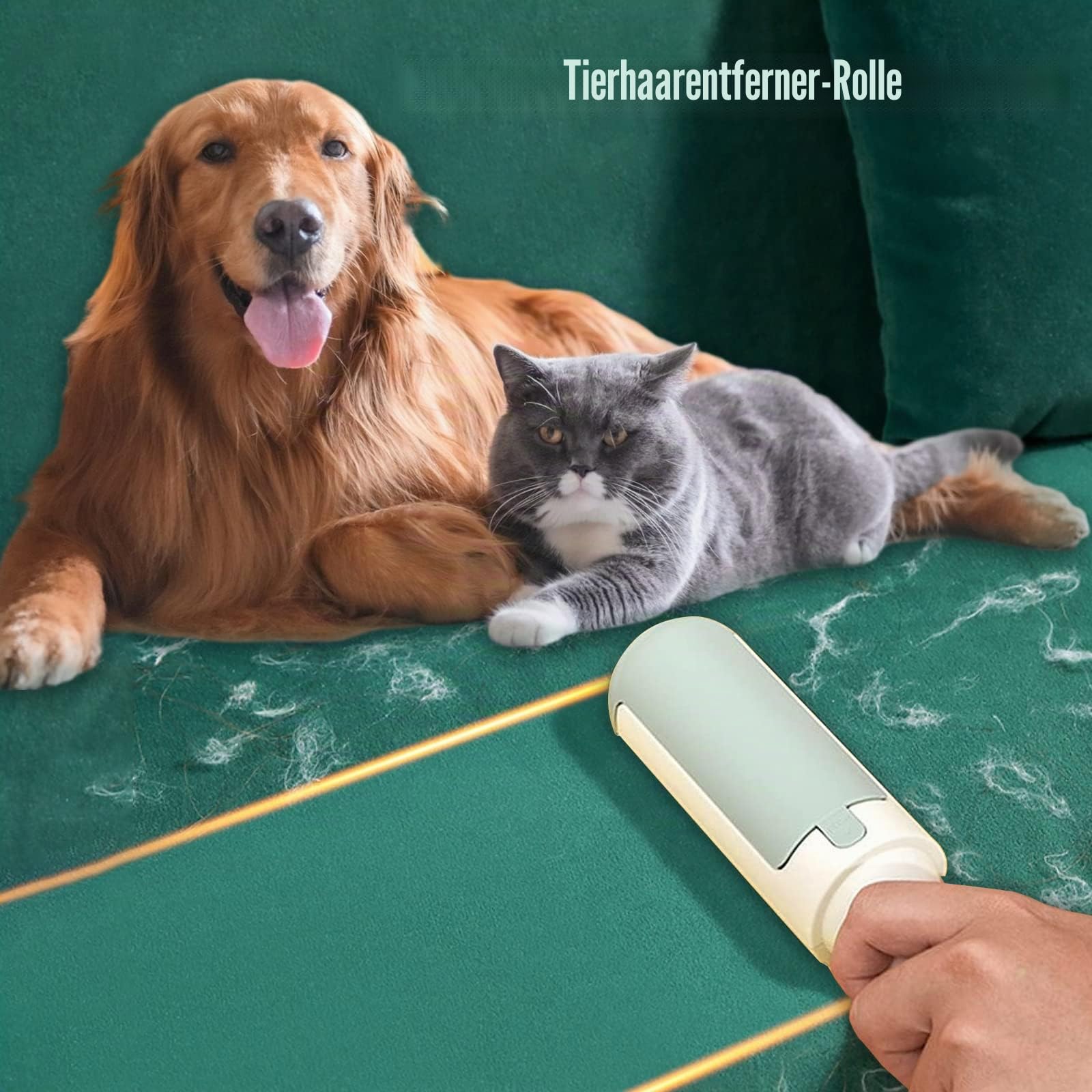 2 Stück Fusselrolle Tierhaare Wiederverwendbare Tierhaarentferner-Bürste für Katzenhaare und Hundehaare leicht zu reinigen Haustierfellentferner Bürsten für Kleidung, Teppich & Sofa