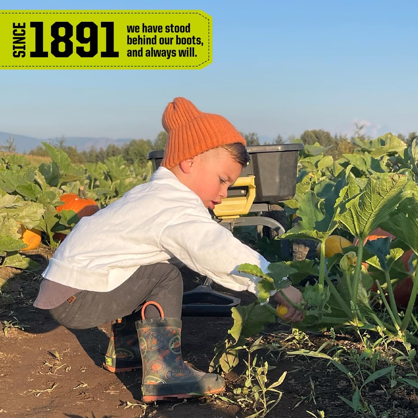 Western Chief Boys' 24106283b-11