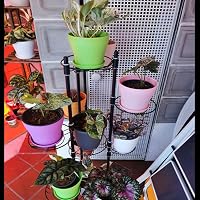 TSKDKIT 20 cm Nagy Műanyag Virágcserép Alátéttel - Öntözőrendszeres Virágtartó, 17,5 Literes, Vastag Falú, Beltéri és Kültéri Növényekhez (6 7