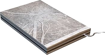 71SE0bAWPQL._AC_UF350,