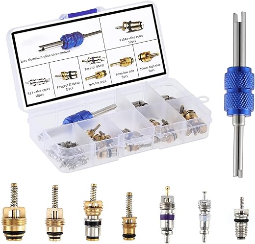 Best ac valve core kit