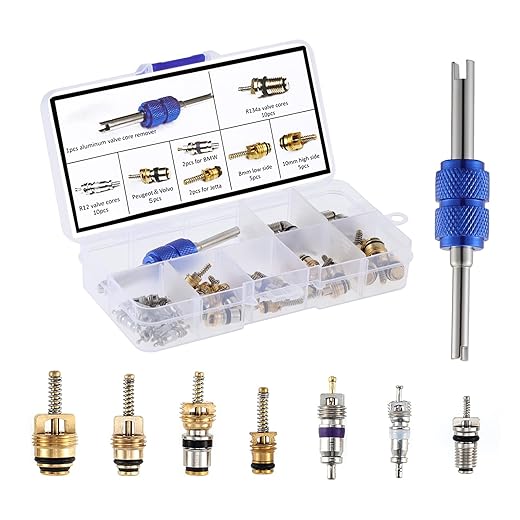 OCR Car Air Conditioner Valve Core R12 R134a Automotive Air Conditioning Refrigeration Tire Valve Stem with Double Head Dual Dismantling Remover Tool Assortment Kit (40PCS)