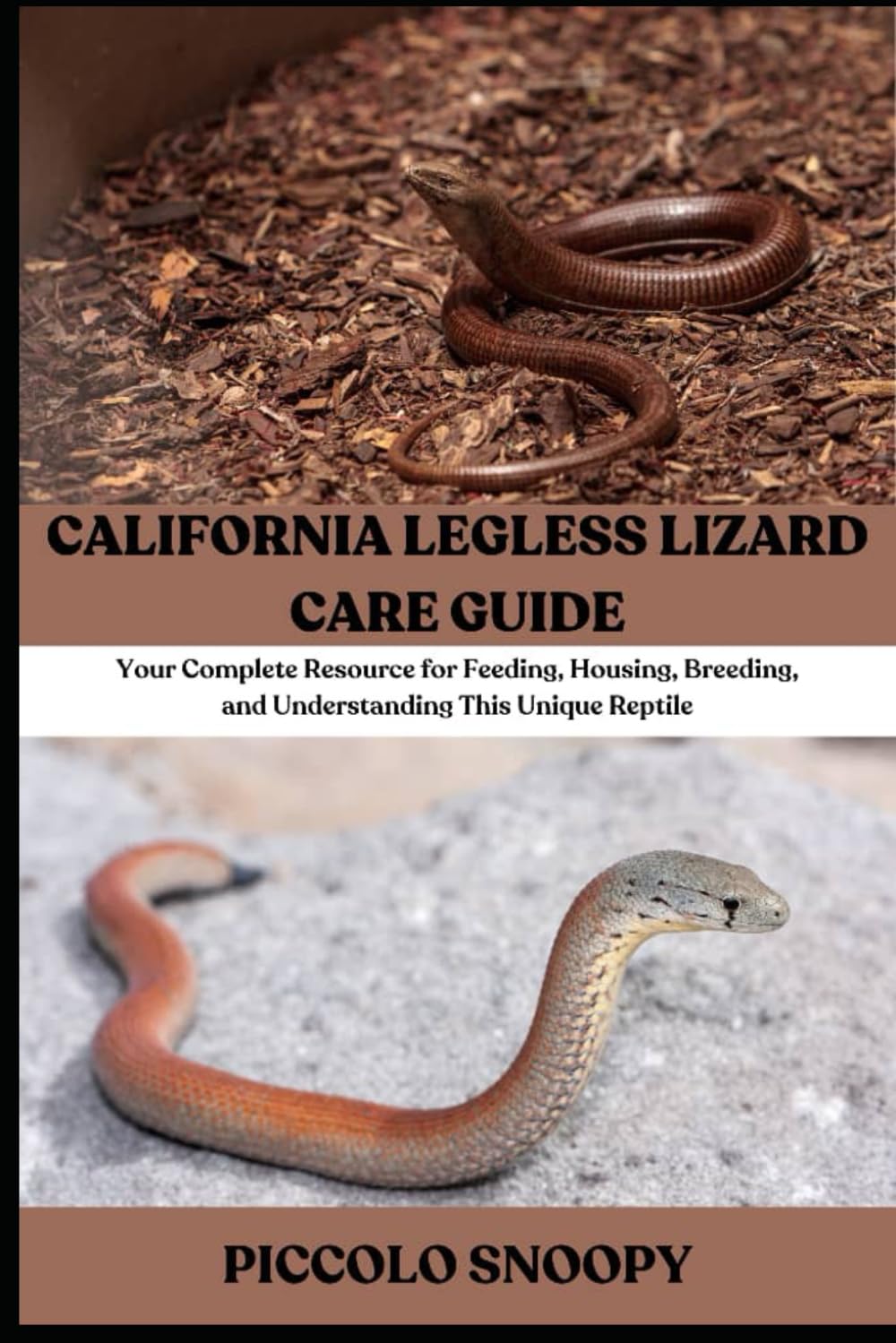 California Legless Lizard Care Guide: Your Complete Resource for Feeding, Housing, Breeding, and Understanding This Unique Reptile