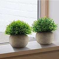 Vista 5 de Velener Mini Plantas Artificiales de Boj Topiario en Maceta Verde Salvia para Decoración del Hogar Interior, Planta Estilo Granja para Casa Oficina