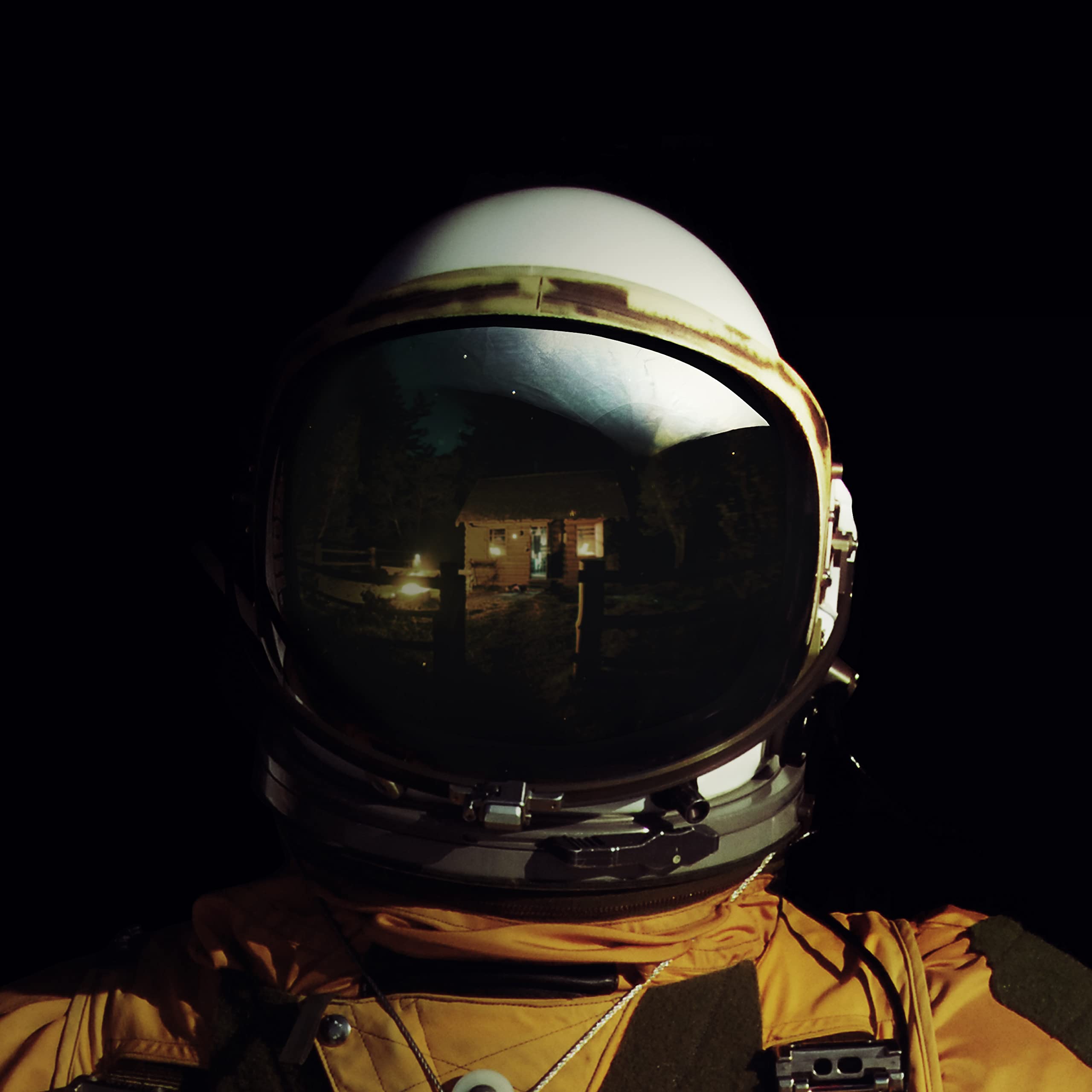 Coming Home [VINYL]
