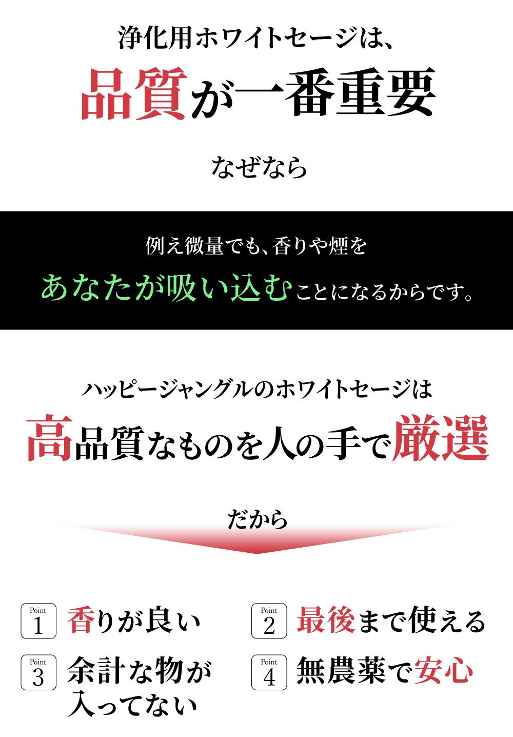 Amazon | ホワイトセージ 浄化用 お香 無農薬 枝付き クラスタータイプ