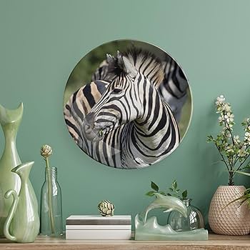 Amazon.com: Zebra Decorative Hanging Plate Home Decor Accent Amazon.com: Zebra Decorative Hanging Plate Home Decor Accent