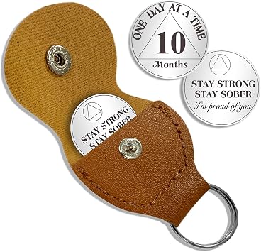 10 Month Sobriety Coin One Day at a Time AA Chips and Medallions with PU Leather Keychain Sobriety Gifts for Celebrating Alcoholics Anonymous Recovery