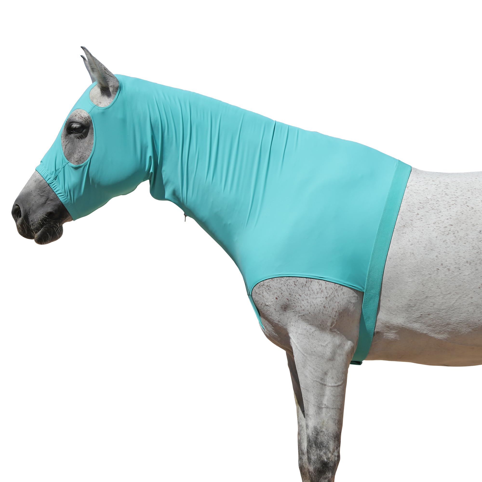 Horse Stretch Hood with Zipper, Full Face & Neck Cover for Sweet Itch Protection
