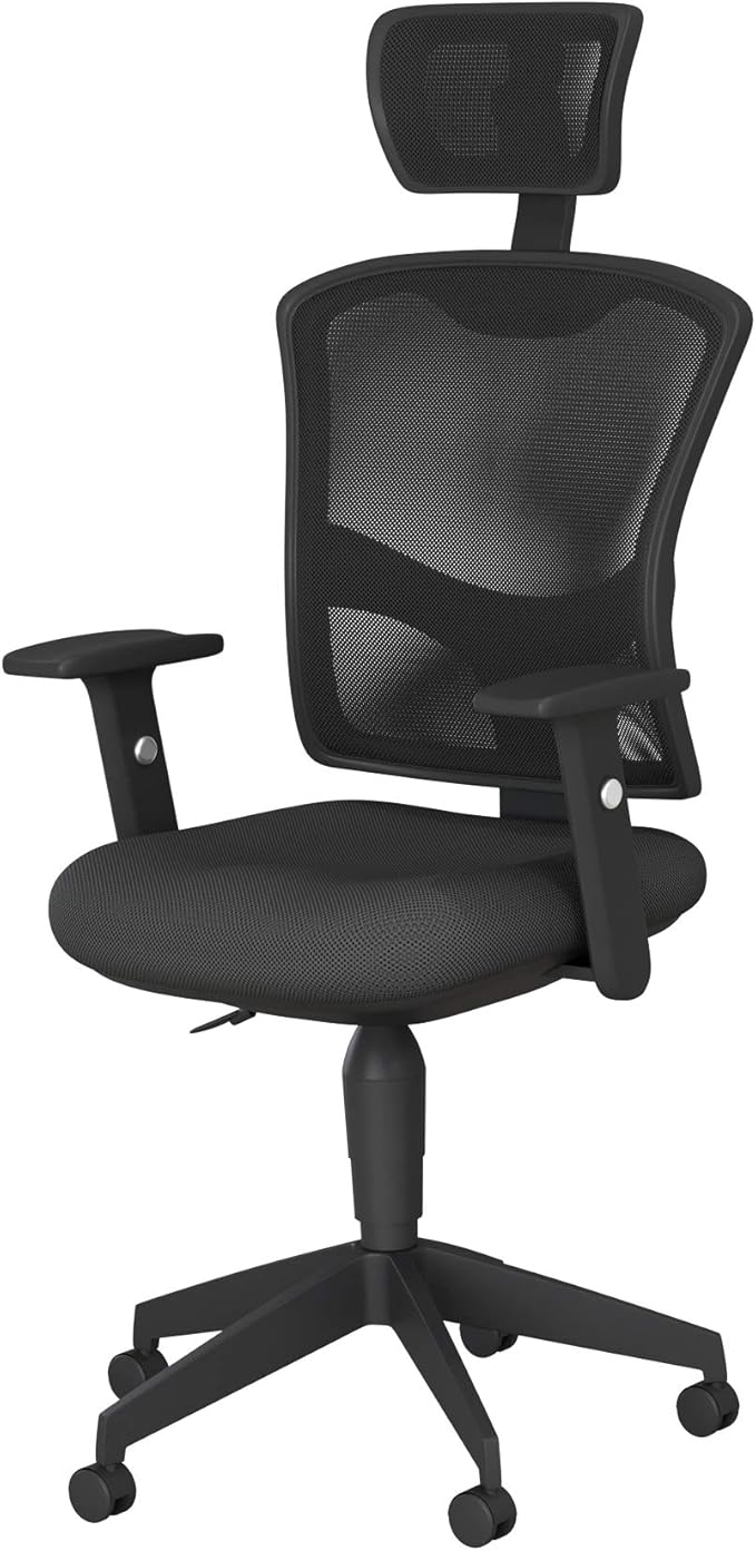Safdie Office Home Chair, Black Home & Kitchen
