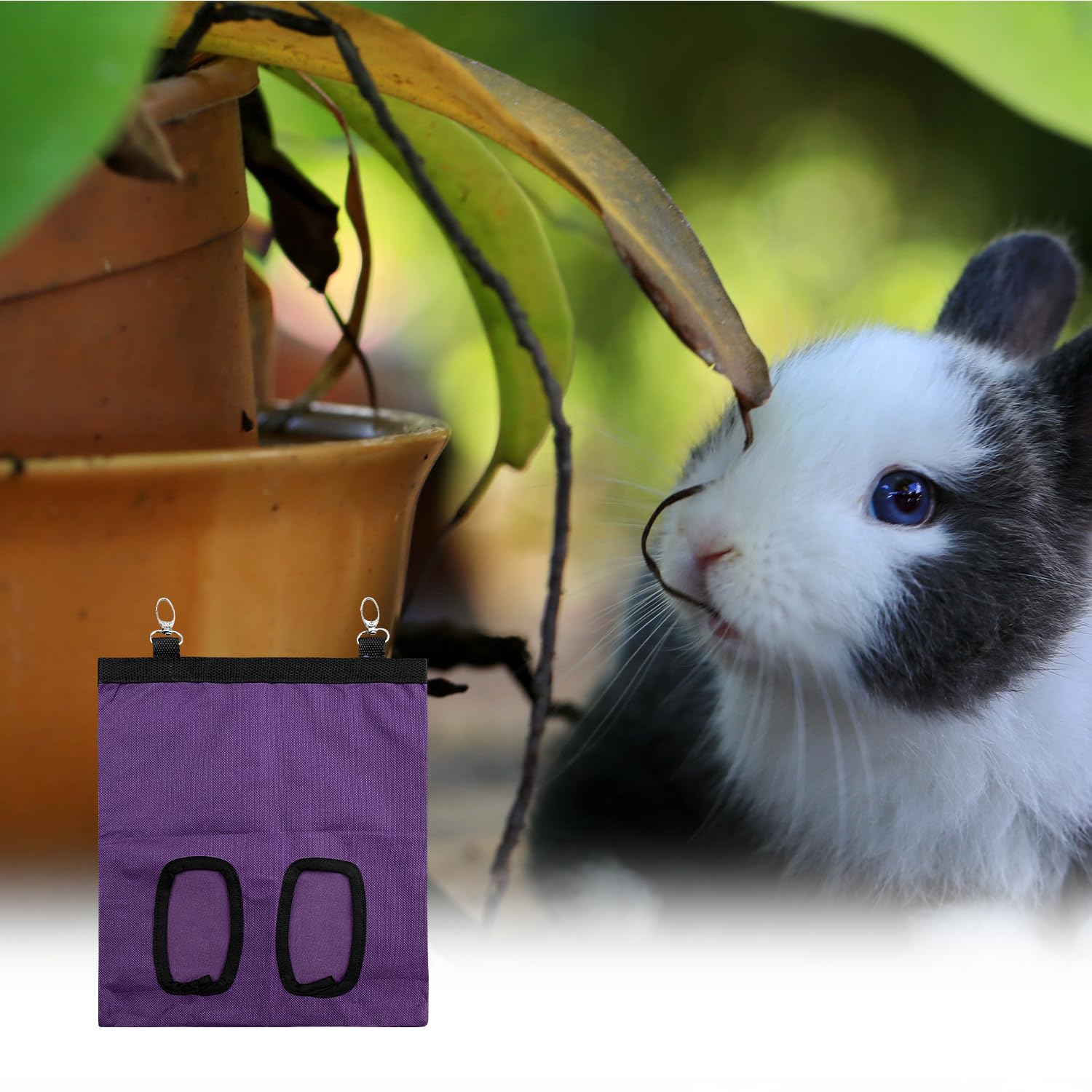 Rumyve Rabbit Hay Feeder Bag,Long Wear Feeder Bag,Oxford Fabric Hanging Bag,Small Animals Hay Feeder Bag for Rabbit Guinea Pig Hamster(Purple) - Image 4
