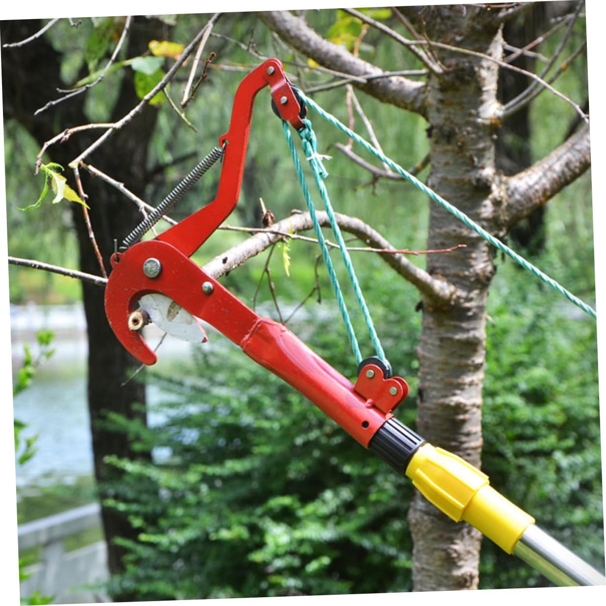 SHINEOFI Extendable Tree Pruner with Pull Rope, High-branches Trimmer and Fruit Picker Harvester Clipper for Garden and Orchard Use